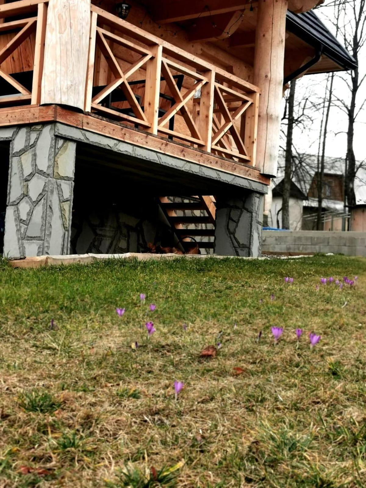 Chalpy Pod Ostryszem Villa Ciche  ภายนอก รูปภาพ